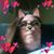 Sandra Young's profile image