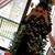 Karen Rector Culpepper's profile image