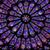 Dee Stephens's profile image