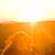 Elizabeth Holleran Hess's profile image