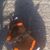 Hannah Ketcham's profile image