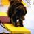 Karen Dahle's profile image