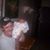 John Brown Jr's profile image