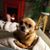Willow Lucas's profile image