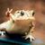 Renee Bennett-Cowen's profile image