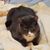 Beth Graves's profile image