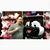Chris Johnson's profile image