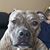 Mindy Belden's profile image
