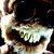 Nick Sgro's profile image