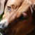 Sandi Lavoie's profile image