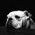 Karen Hilberg's profile image