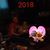 Tracy A Flickinger's profile image