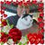 Michelle Dickerson's profile image