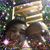 Dra Marcia Bautista's profile image