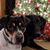 Betty Helle's profile image