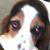 Hazel French's profile image