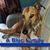 Cindy Emmerling-Cromwell's profile image
