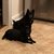 Rae Jean Zollitsch's profile image
