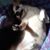 Karen Ann Larsen's profile image