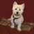 Gerald Gary's profile image