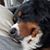 Gayle Iwalani Campbell's profile image