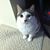 Christopher Follmer's profile image