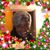 Deborah A. Steen's profile image