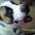 Linda Grzechowiak LeBlanc's profile image