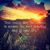 Julie L. Williams's profile image