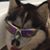 Larry Po's profile image
