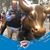 Roger Cude's profile image
