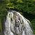 Desiree Renee Langlitz's profile image