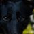 Eric Sollars's profile image