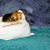 Richinda Mae Blanchard's profile image