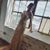 Rhiannon Liscio's profile image