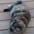 Bill Glidden's profile image