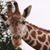 Barbara Higgins's profile image