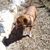 Dawn Jody Hass's profile image