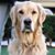 Denelle Smalley Curry's profile image