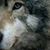 Terrena Rose's profile image