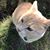 Brenda Hicks Nesbitt's profile image