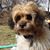 Tina Sewell's profile image