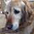 Gary Lofquist's profile image
