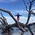 Amy Fritsch's profile image