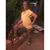 Lucille Paul's profile image