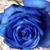 Rosalyn Mary's profile image