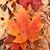 Jenifer Garber's profile image