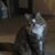 Darlene Fairgrieve Lanphere's profile image