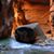 Amy Blackshear's profile image