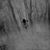 Megan LeAnn Crabb's profile image